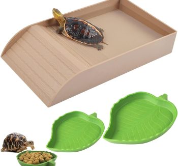 reptile food amazon best