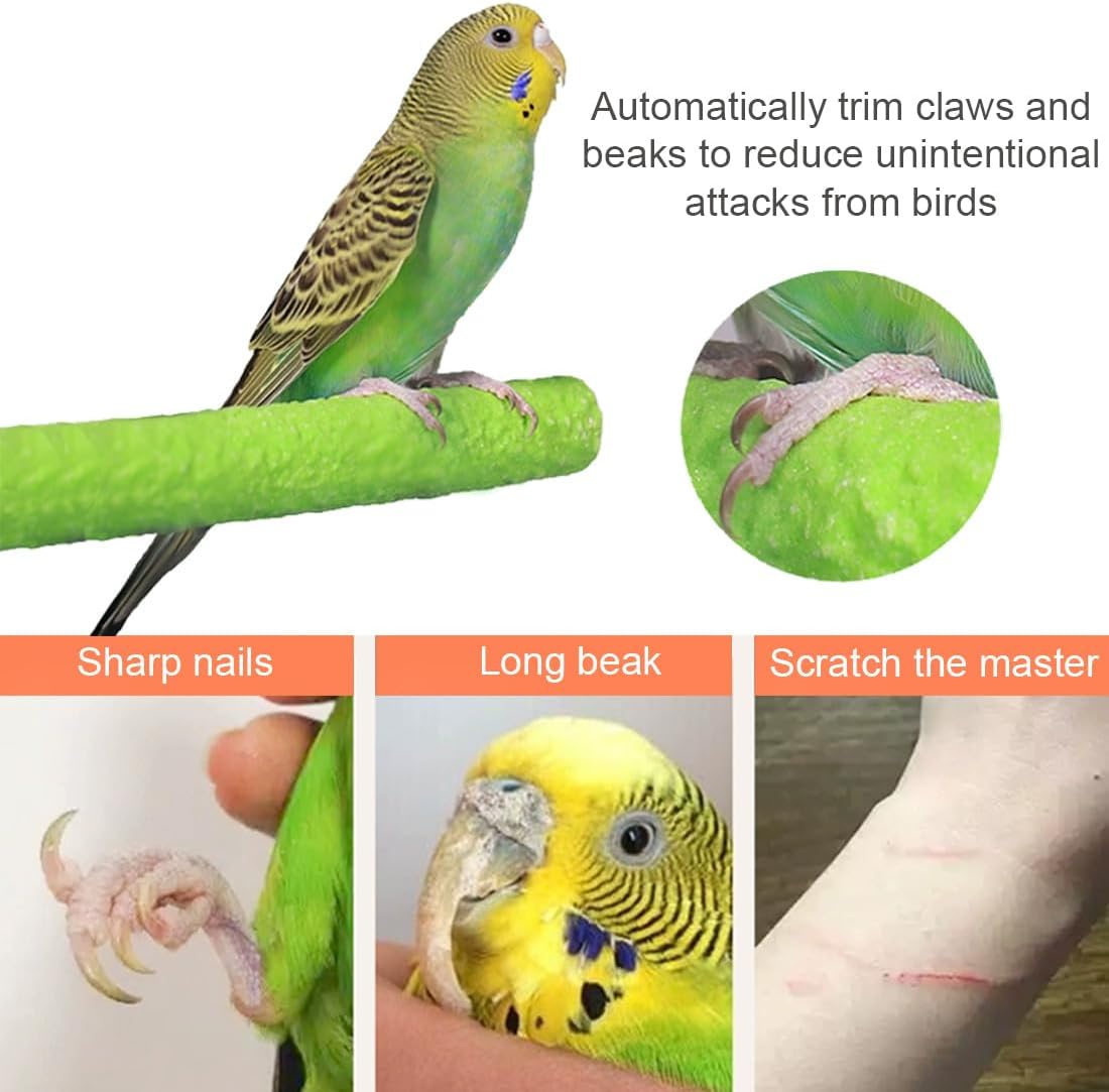 Hamiledyi 4 PCS Parrot Perch Stand Toy 7.9x0.8inch Bird Cage Perch Natural Paw Grinding Stick for Medium Parrots Parakeets Cockatiels Lovebirds Chewing Stick (M) - Happypetzone.online - Image 5