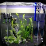 aquarium light bright led