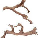 reptile climbing logs