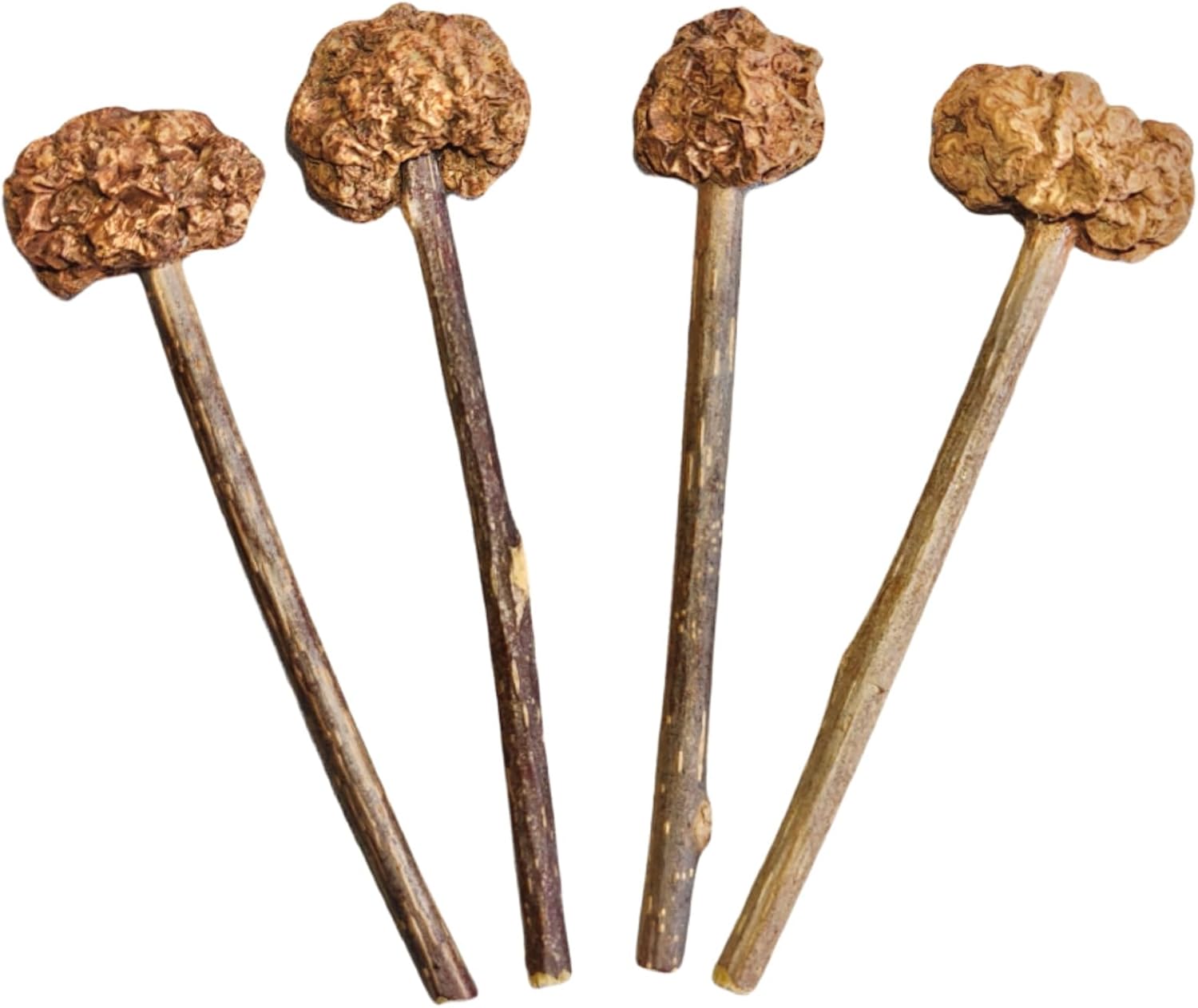 4 PCS Silvervine Stick Cat Toy with Gall Fruit – Natural Lollipop-Shaped Matatabi Chew Toy for Cats – Catnip Alternative for Teeth Cleaning, Anxiety Relief & Interactive Play – 4.8" Cat Dental Toy - Happypetzone.online - Image 9