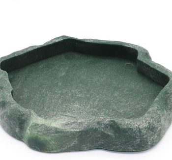 natural reptile food
