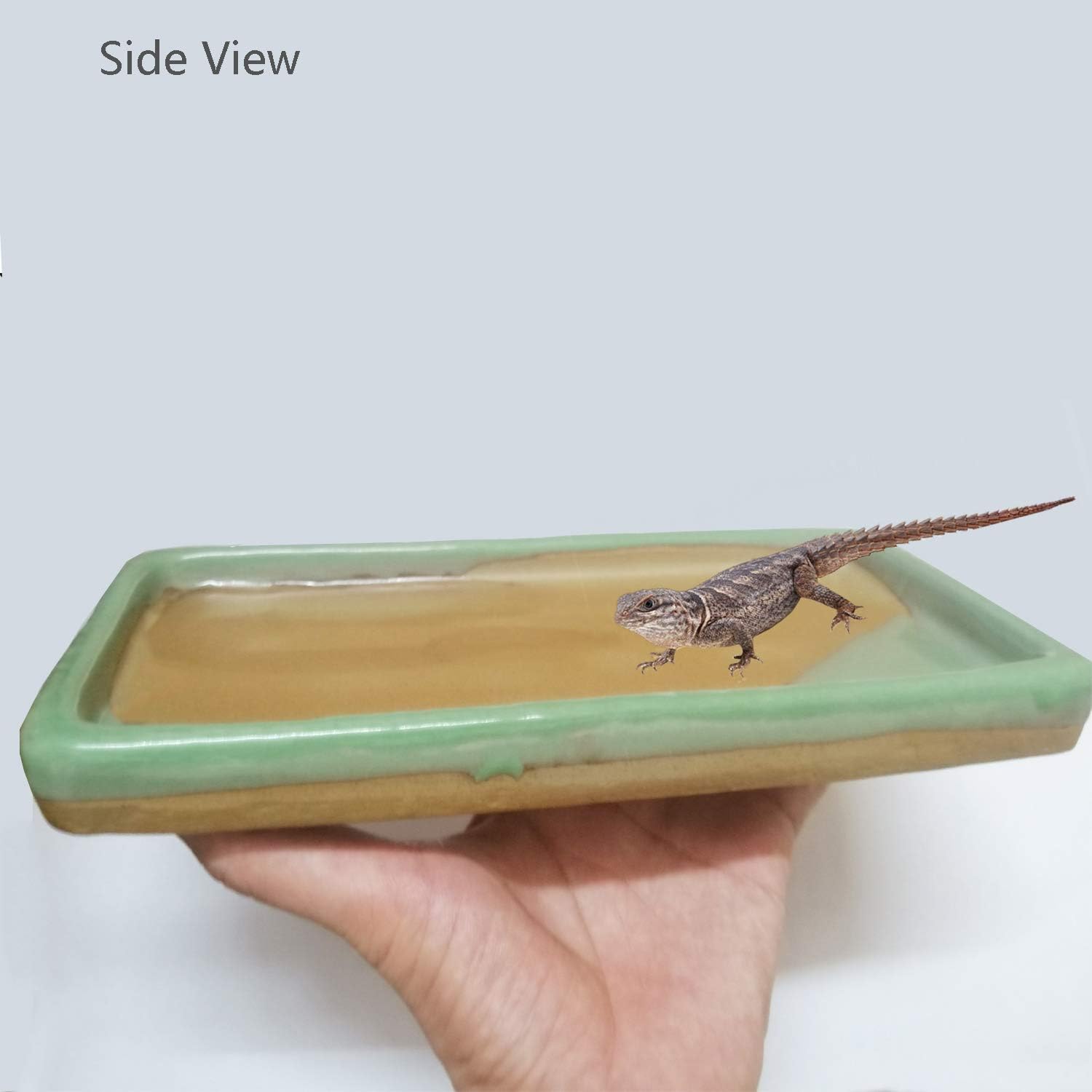 Reptile Feeding Dish Bowl Food and Water Bowl Tortoise Dish Reptile Tank Decor, Heavy Duty Ceramic Feeding Dish, Large Size - Happypetzone.online - Image 4