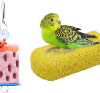 bird calcium supplement