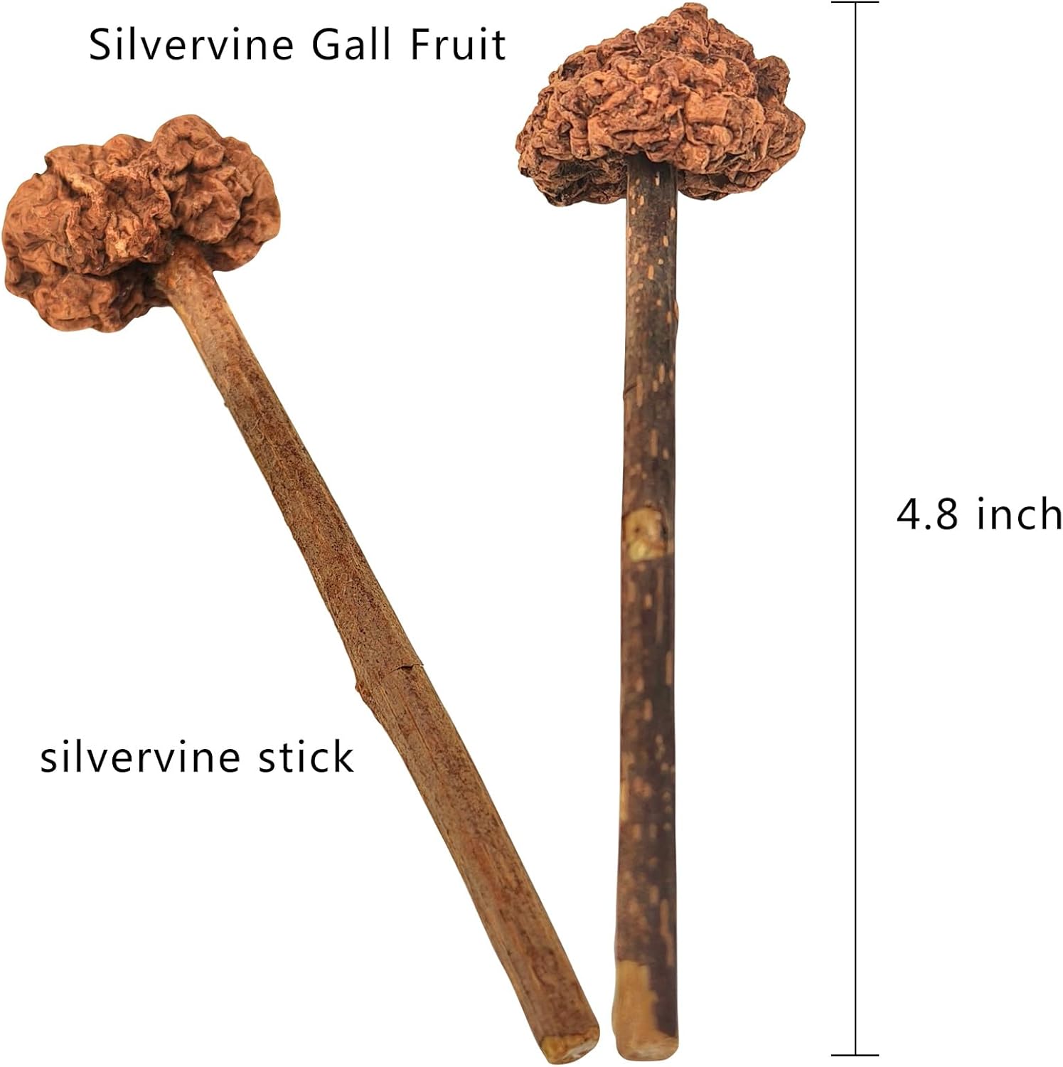 4 PCS Silvervine Stick Cat Toy with Gall Fruit – Natural Lollipop-Shaped Matatabi Chew Toy for Cats – Catnip Alternative for Teeth Cleaning, Anxiety Relief & Interactive Play – 4.8" Cat Dental Toy - Happypetzone.online - Image 4