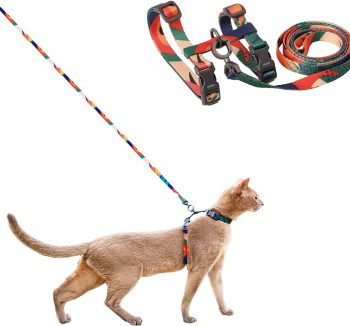 cat leash for walking