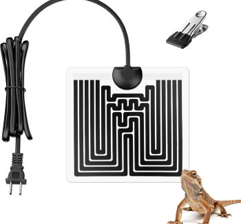reptile heat source safe