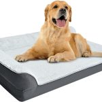 premium dog beds amazon