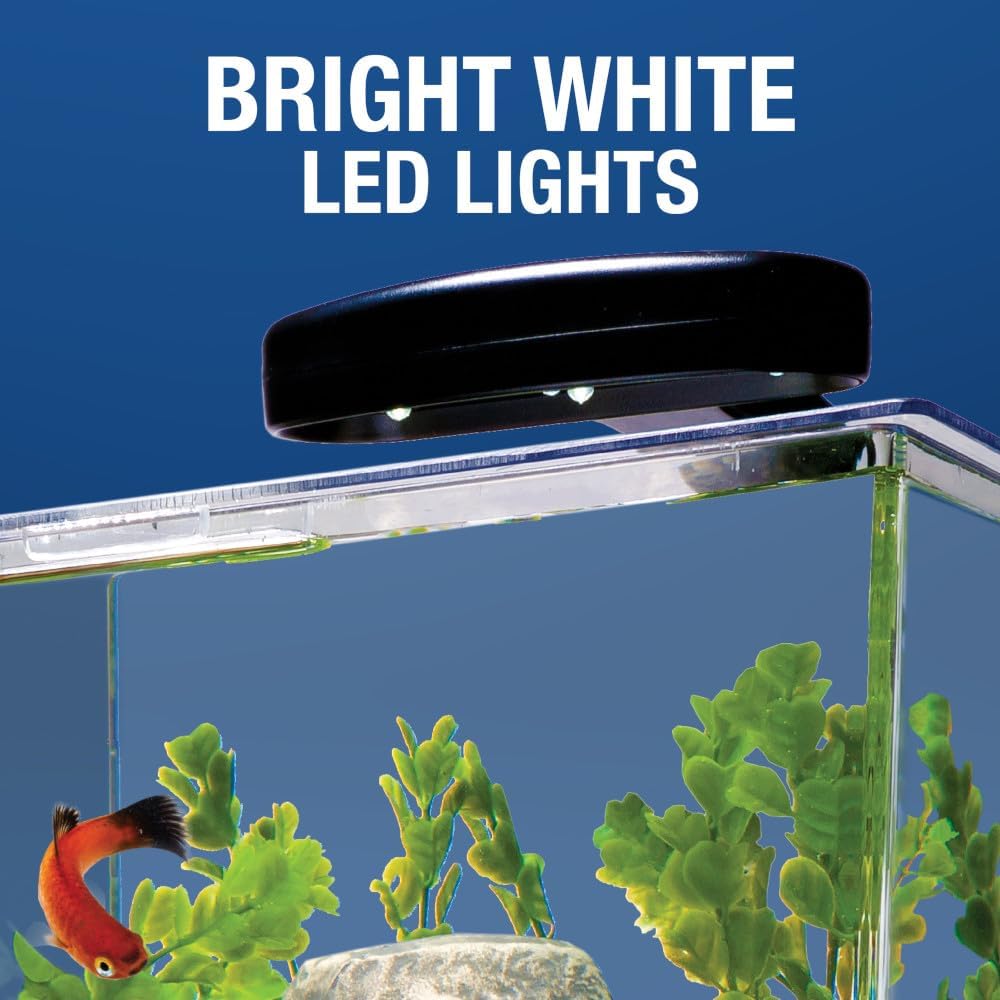 Tetra 3 Gallon Fish Tank, Aquarium Starter Kit with Pedestal Base, LED Light and Filter, For small tropical fish, guppies, goldfish, or betta - Happypetzone.online - Image 7