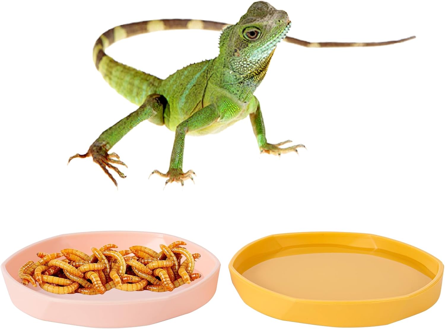 COMSUN 4 Pack Small Reptile Food Dish Bowl, Plastic Worm Water Dish Plate for Lizard Gecko Bearded Dragon Chameleon 4" W x 4" D x 0.5" H, Blue and Yellow - Happypetzone.online - Image 3
