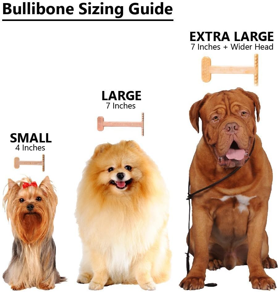 Bullibone Nylon Dog Chew Toy for Aggressive Chewers - Dental Hygiene Bone with Bacon Flavor, Durable Tough Chew Toys for Small Dogs, Indestructible Dog Bone - 2 Pack - Happypetzone.online - Image 5