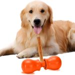 rawhide free dog chews
