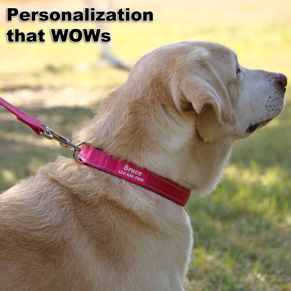 Personalized Dog Collars Custom with Pet Name and Phone Number, Soft Neoprene Padded Reflective Nylon Collar, 4 Adjustable Sizes - for Boy, Girl Dogs - Happypetzone.online - Image 4