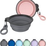 dog travel bowl collapsible