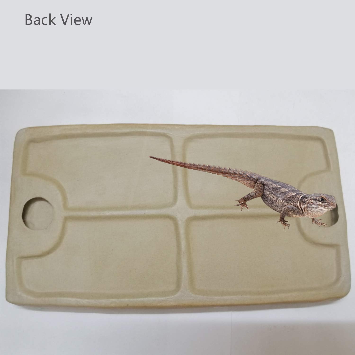 Reptile Feeding Dish Bowl Food and Water Bowl Tortoise Dish Reptile Tank Decor, Heavy Duty Ceramic Feeding Dish, Large Size - Happypetzone.online - Image 6