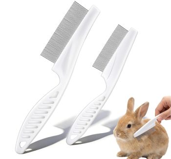 guinea pig grooming tools