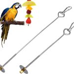bird food for parrots