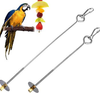bird food for parrots