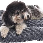 premium dog beds amazon