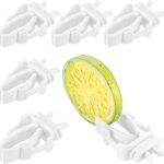 canary bird food