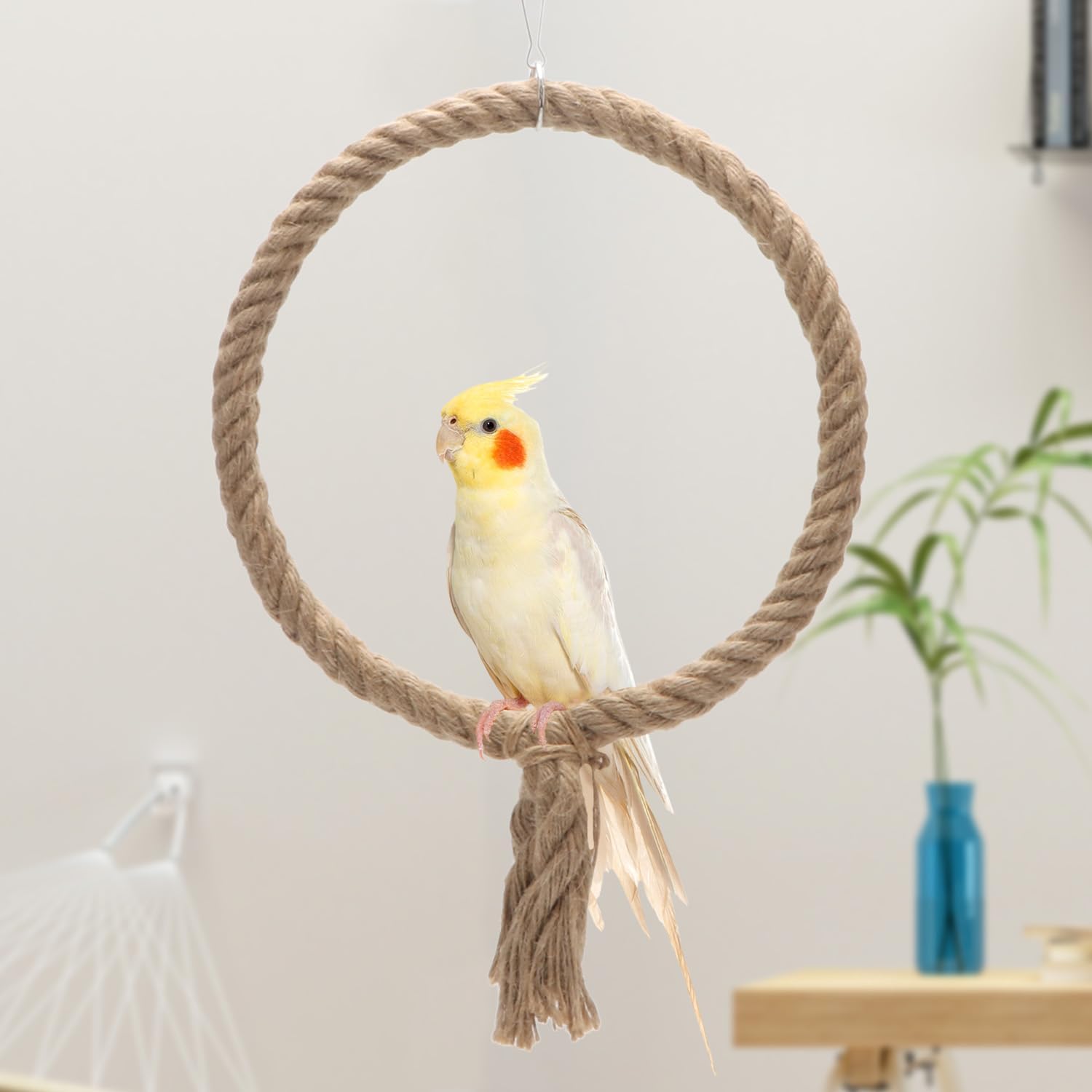Bird Rope Swing Toy Parrot Climbing Perch Stand for Cockatiel Conure Cockatoo Parakeet Cage Hanging Decor (B: Round) - Happypetzone.online - Image 3