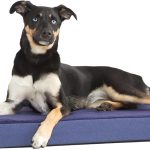 premium dog beds amazon
