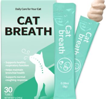 cat immune booster