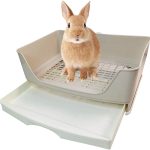 rabbit litter box setup