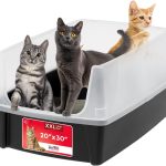 cat litter box for big cats