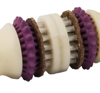 best dog chews for teeth