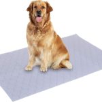 dog house training products