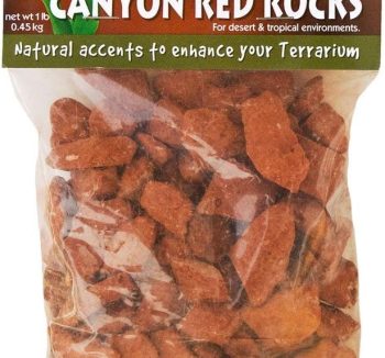 reptile decor rocks