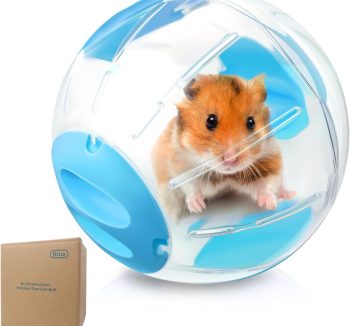 hamster ball exercise