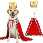 dog halloween costume