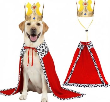 dog halloween costume