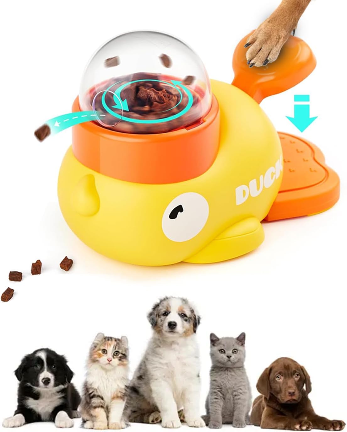cat treats for training