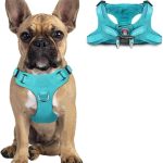 dog harness no pull