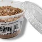 mealworms for reptiles