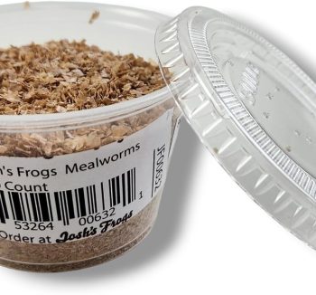 mealworms for reptiles