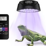 reptile lighting system