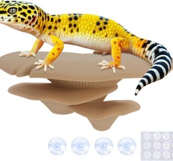 reptile enclosure decor kit