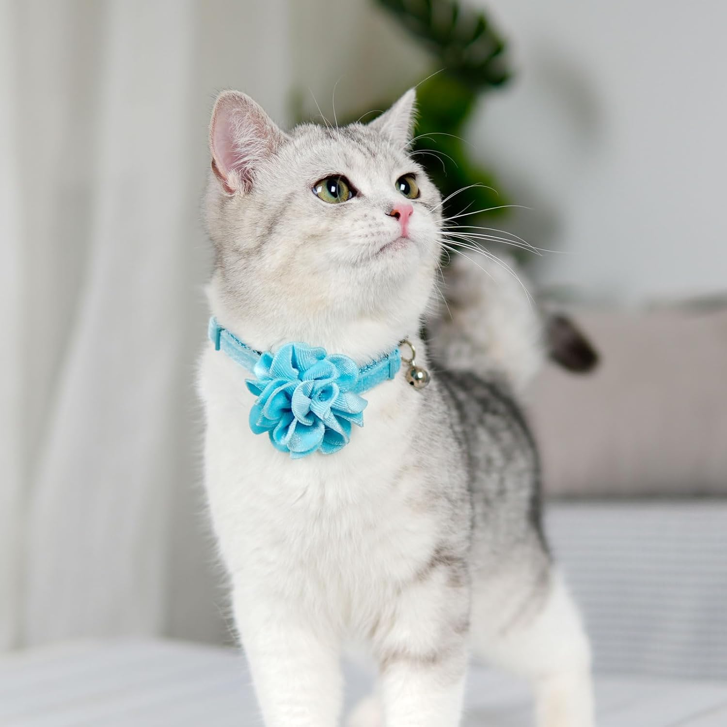 azuza 2 Pack Cat Collar Floral with Bell and Removable Flower Bowtie Breakaway Adjustable Velvet Fabric Cat Collar for Pets and Daily Decoration,Blue & Royal Blue - Happypetzone.online - Image 6