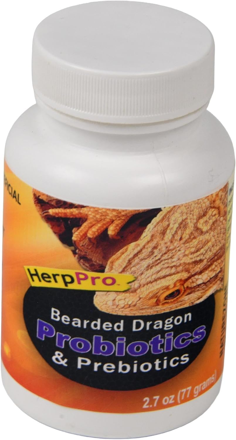 bearded dragon food