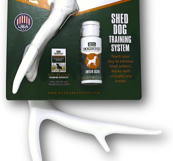 small pet accessories kit