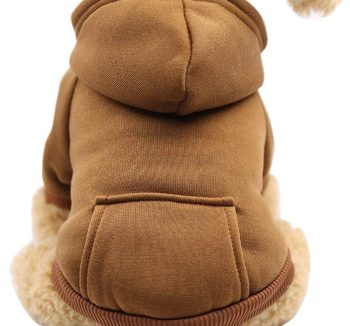 dog clothes winter