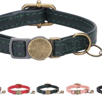 cat collar safety breakaway