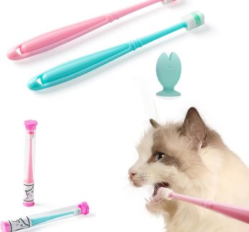 small pet health care