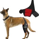 dog joint supplement
