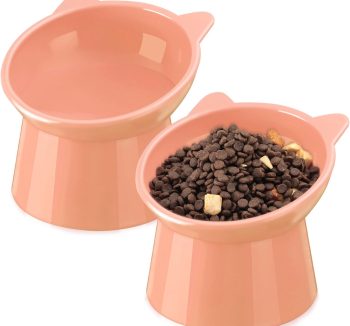 cat food for kittens