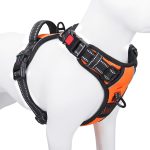 dog harness for large dogs